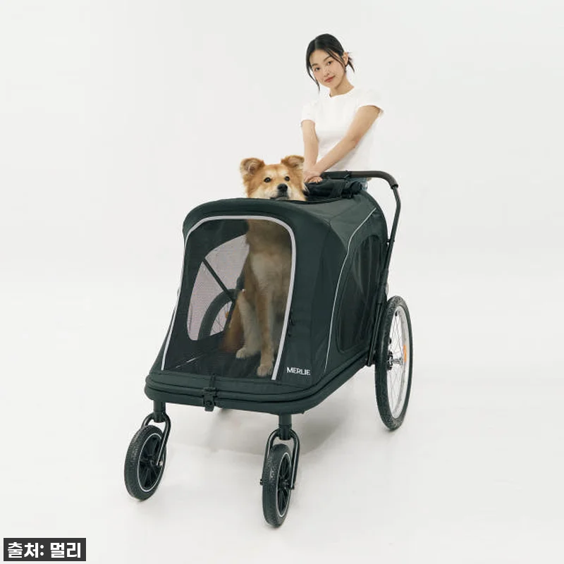 노견 산책 필수템? 멀리 중대형견 개 관련 이미지 1