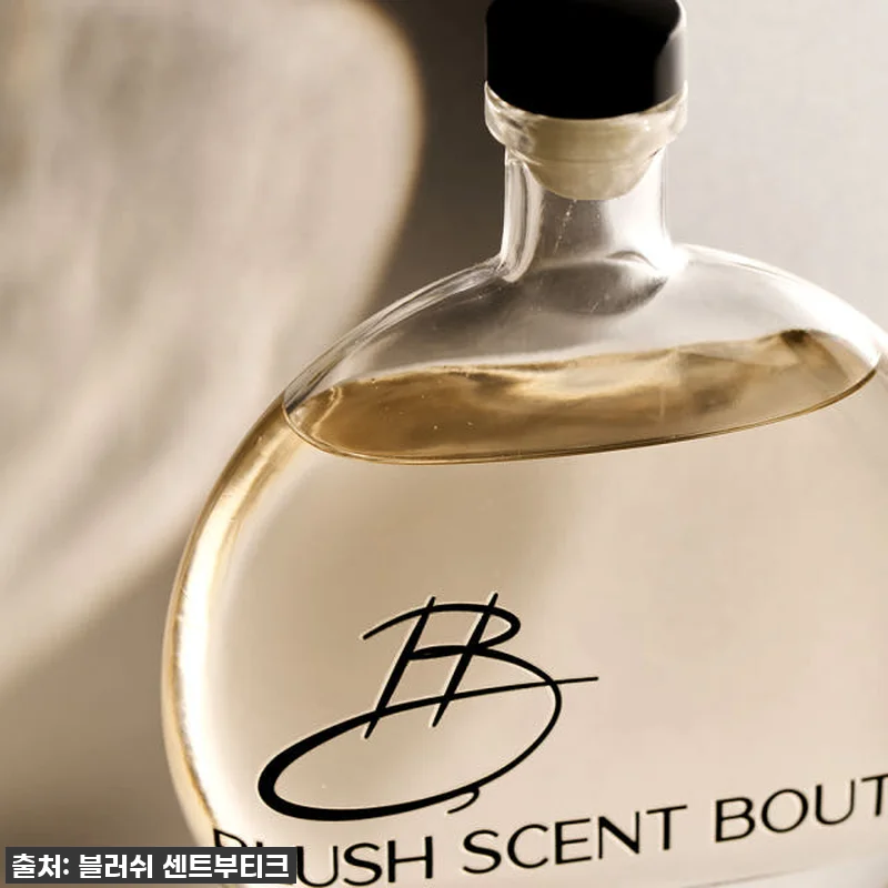 찐내돈내산! 품절임박 '편백 블러쉬 관련 이미지 3