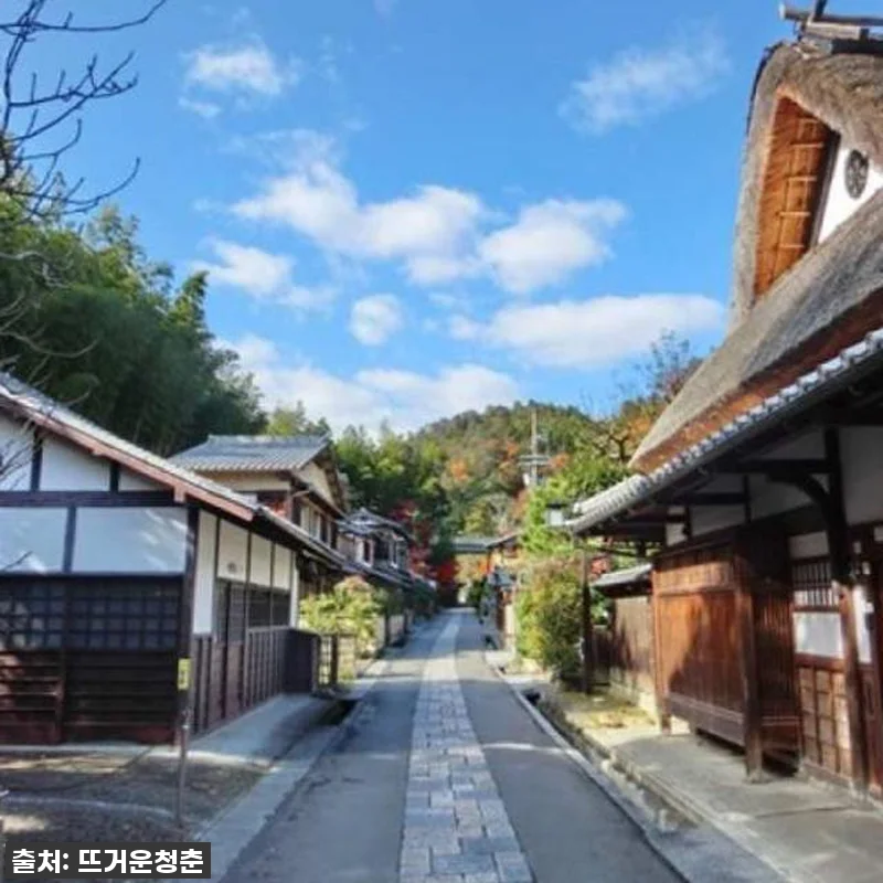 역대급 할인 놓치면 후회! 교토 아라 관련 이미지 3