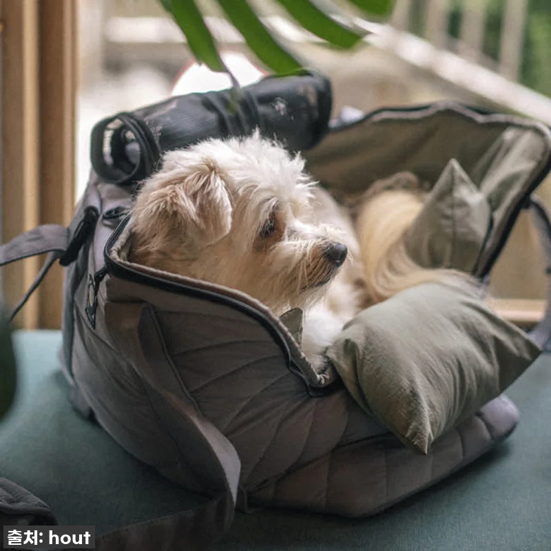 이동가방 유목민 주목! 🐶 하웃 에어 관련 이미지 3