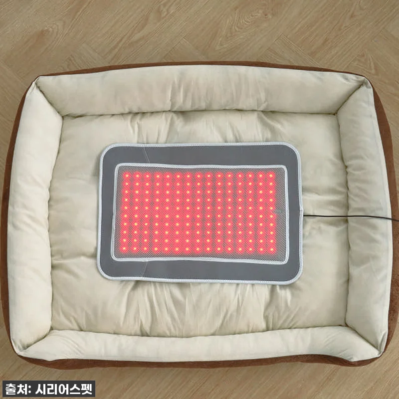 이건 진짜 물건! 시리어스펫 슬개골 관련 이미지 3