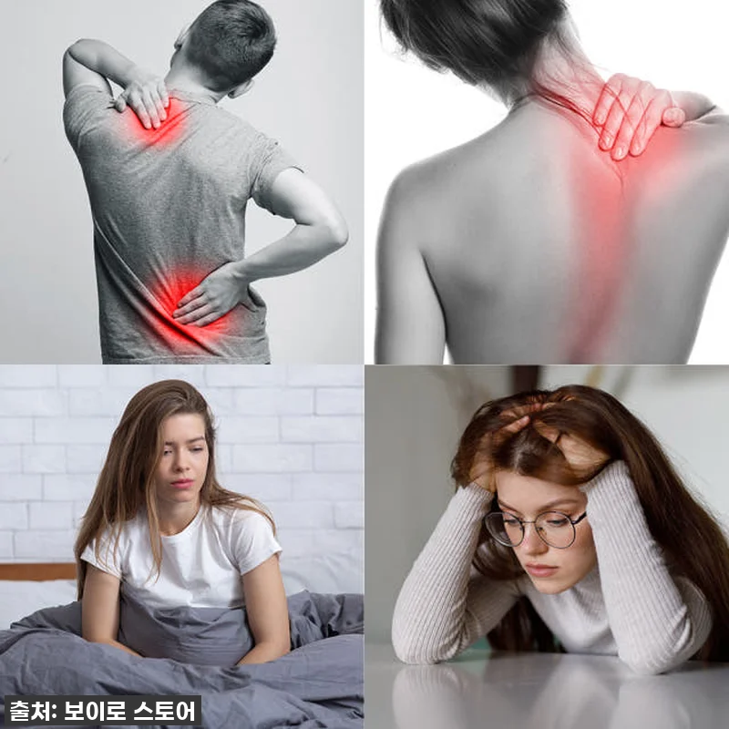 이거 하나로 삶의 질 수직 상승? ✨ 관련 이미지 3