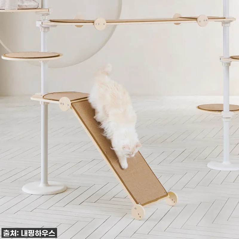 찐후기! 우리 집 냥이들을 위한 내핑 관련 이미지 3