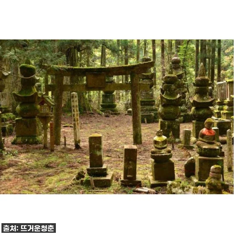 이건 무조건 가야해! 고야산 프라이빗 관련 이미지 3