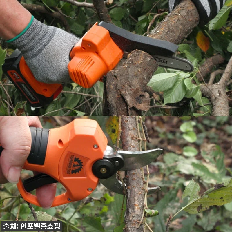 이건 정말 역대급! 타이거 더블컷 무 관련 이미지 3