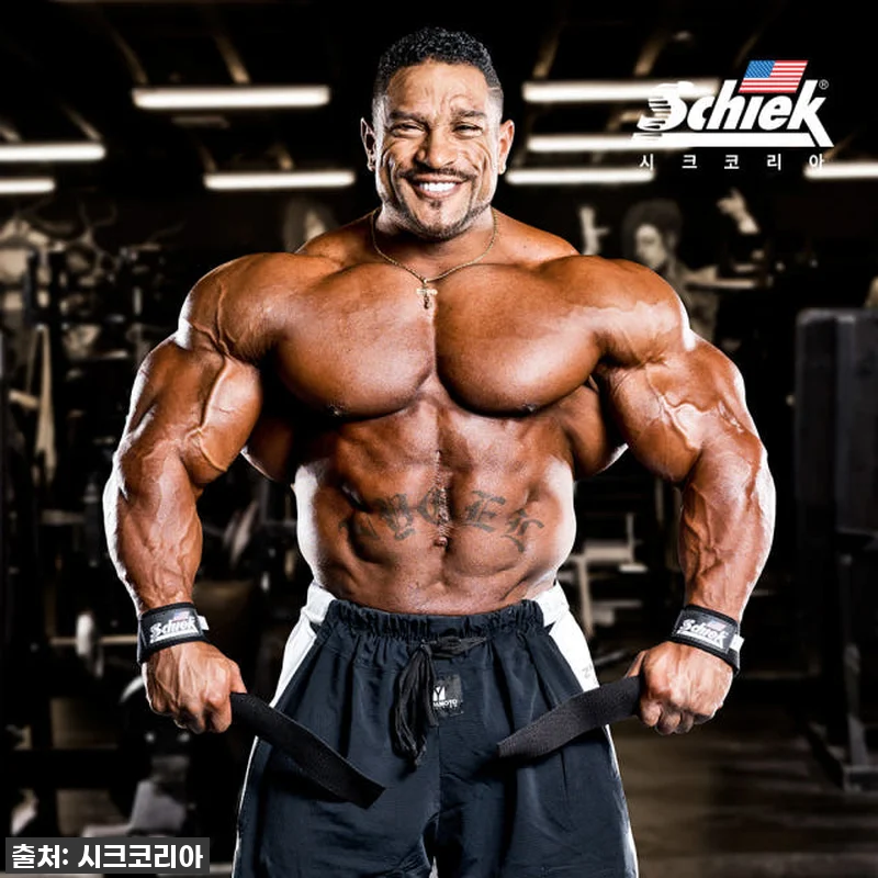 쉬크 1000LLS 가죽 리프팅 스트 관련 이미지 4