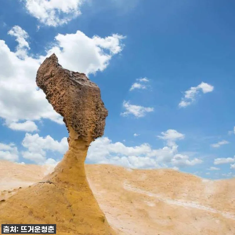 ⭐74% 대박 할인! 대만 예스진지 관련 이미지 4