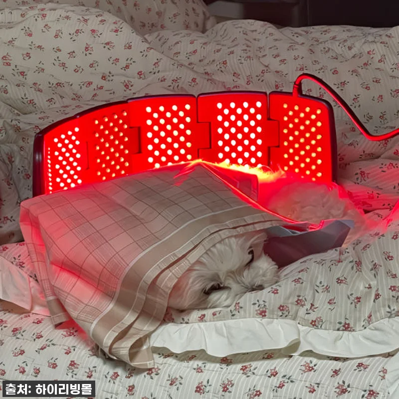 환절기 시큰거리는 무릎? 라파402V 관련 이미지 3