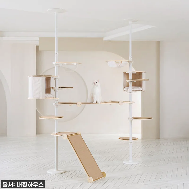 찐후기! 우리 집 냥이들을 위한 내핑 관련 이미지 4