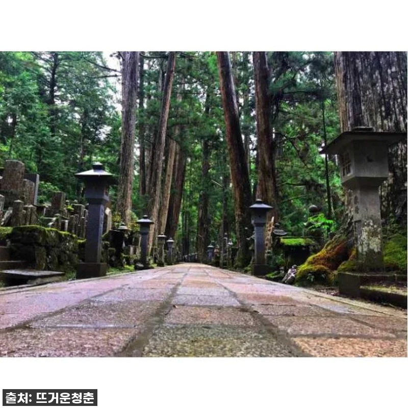 이건 무조건 가야해! 고야산 프라이빗 관련 이미지 4