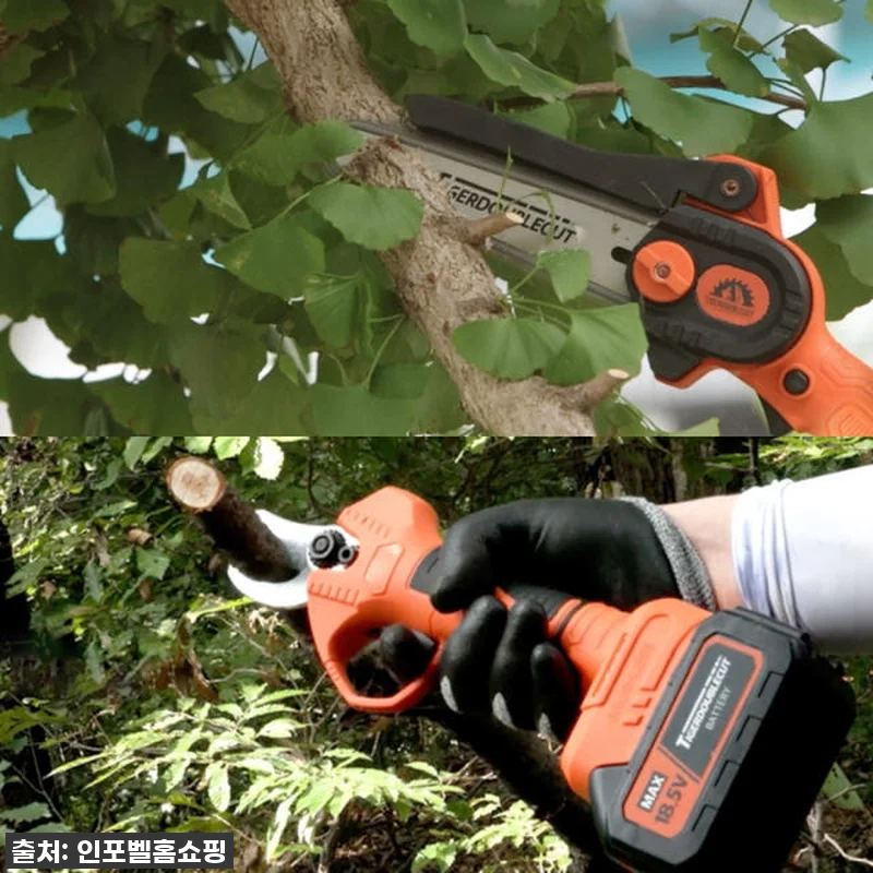 이건 정말 역대급! 타이거 더블컷 무 관련 이미지 4