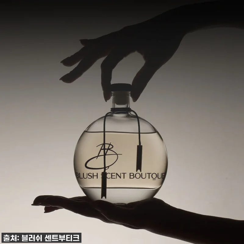 찐내돈내산! 품절임박 '편백 블러쉬 관련 이미지 5