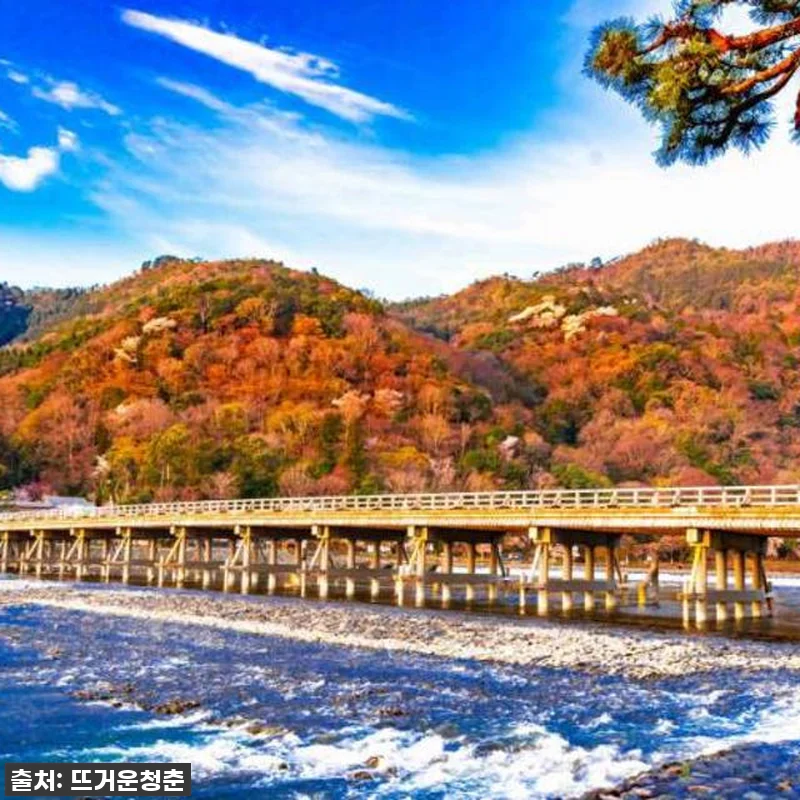 역대급 할인 놓치면 후회! 교토 아라 관련 이미지 5