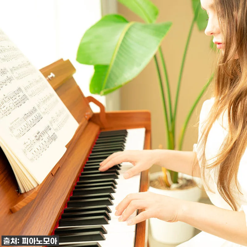 두근두근 내돈내산! 듀로 V6 우드스 관련 이미지 4