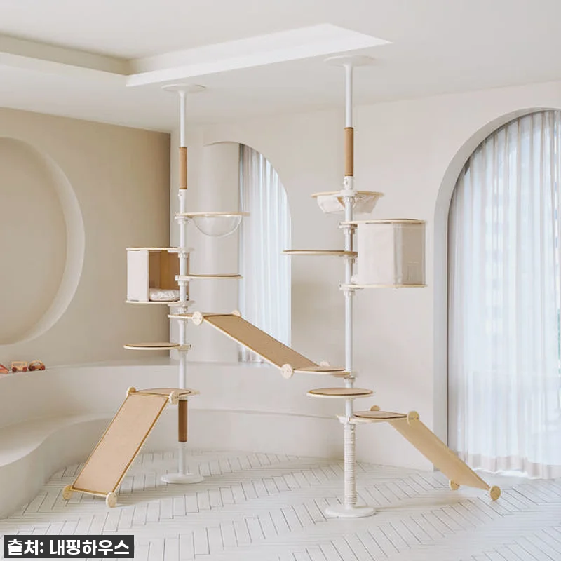 찐후기! 우리 집 냥이들을 위한 내핑 관련 이미지 5