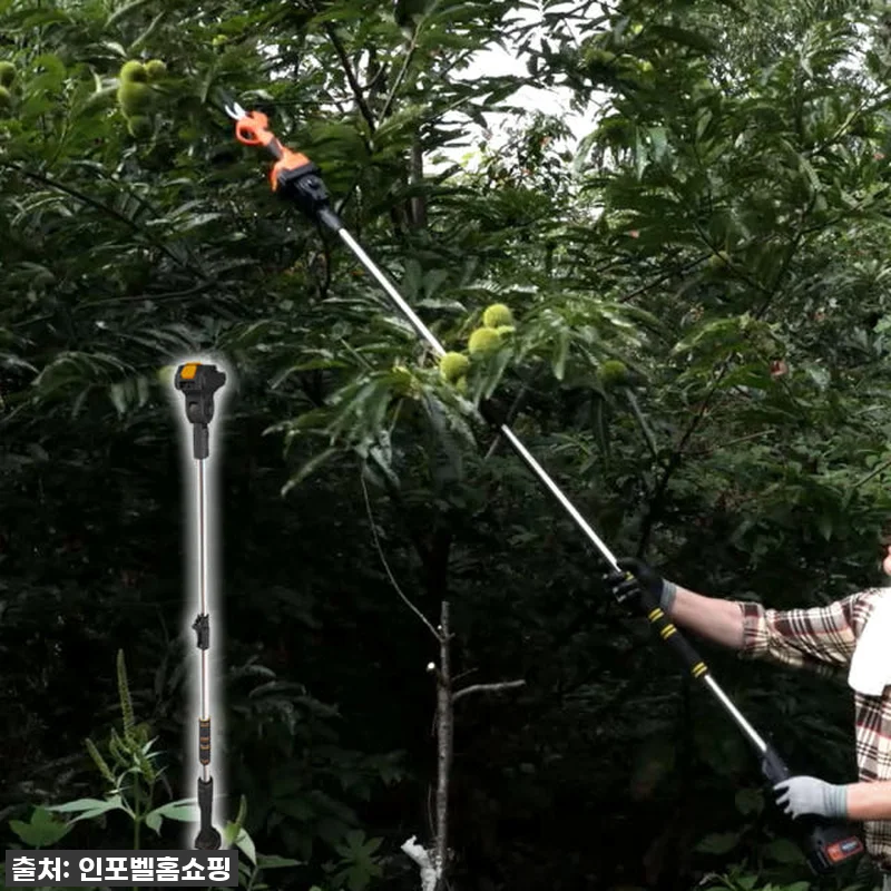 이건 정말 역대급! 타이거 더블컷 무 관련 이미지 5