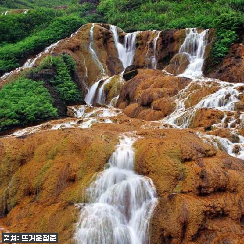 ⭐74% 대박 할인! 대만 예스진지 관련 이미지 6