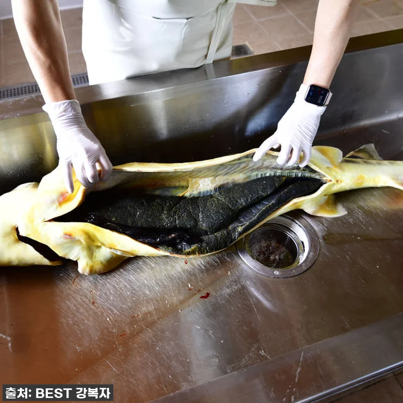 지친 엄마의 구세주! 철갑상어즙, 제 관련 이미지 6