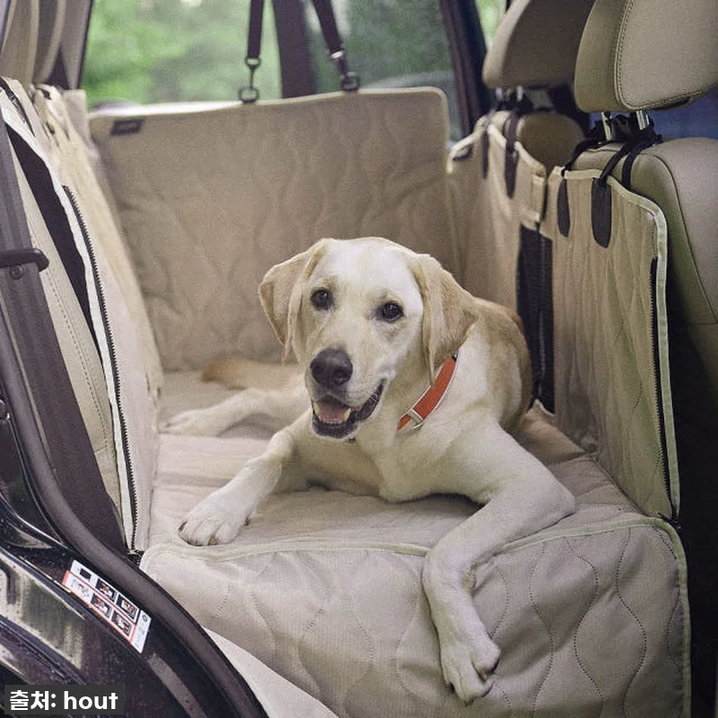 찐후기! 우리 댕댕이 전용! 하웃 강 관련 이미지 5