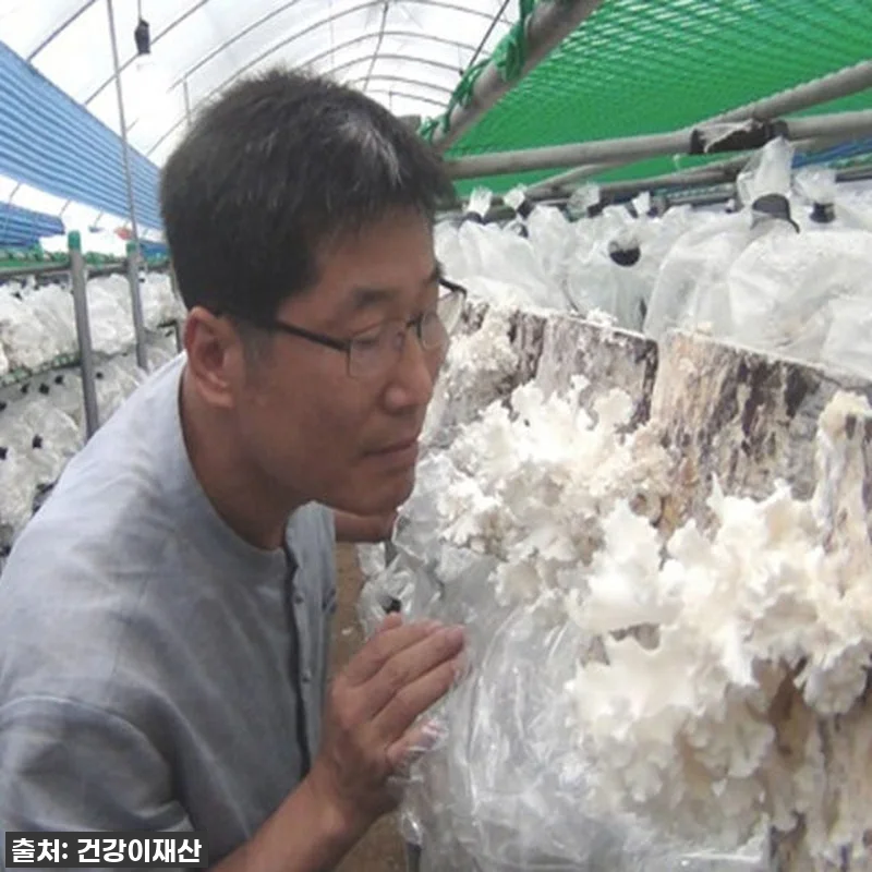 경신바이오 꽃송이현미 발효 효소, 이 관련 이미지 6