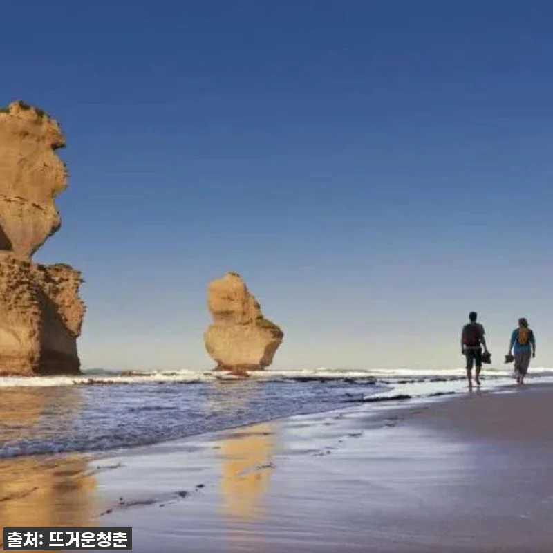 멜버른 여행 필수템? 그레이트 오션 관련 이미지 6