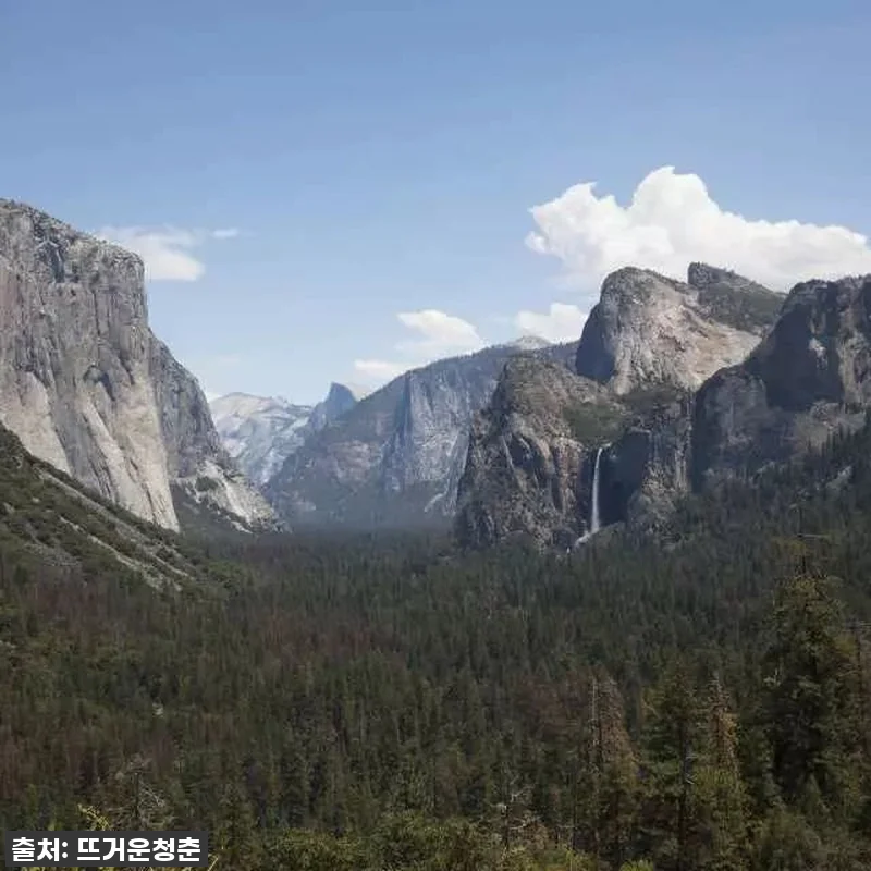 미서부 찐여행! 샌프란시스코, 요세미 관련 이미지 6