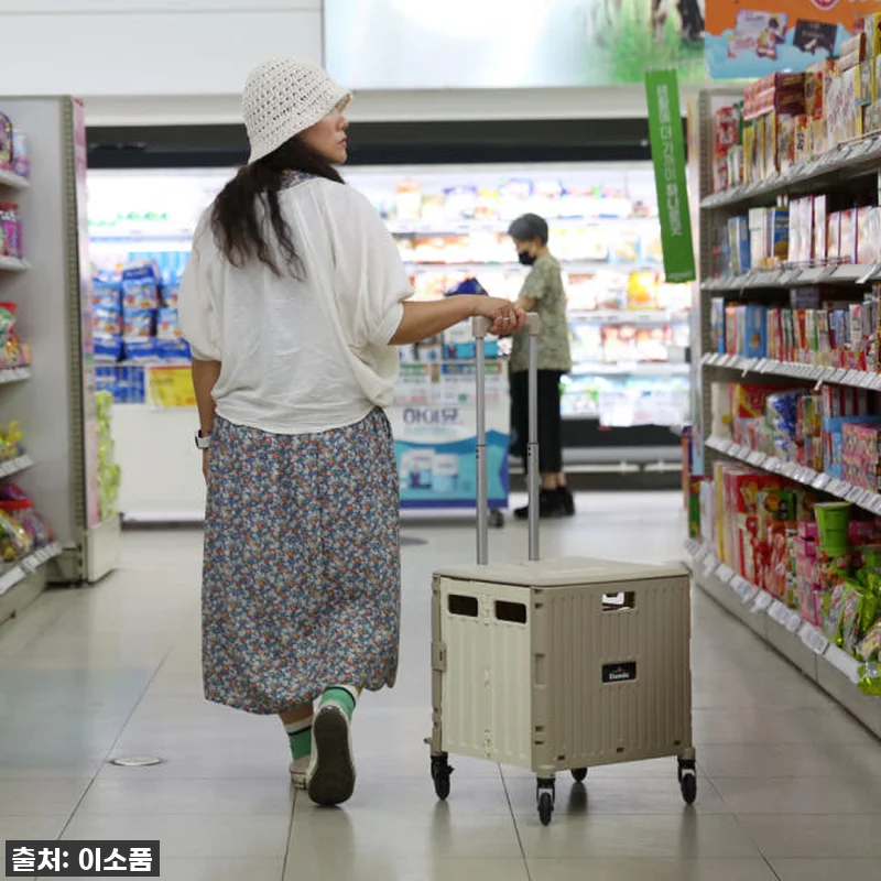 담다 접이식카트 브라운 장바구니캐리어 관련 이미지 7
