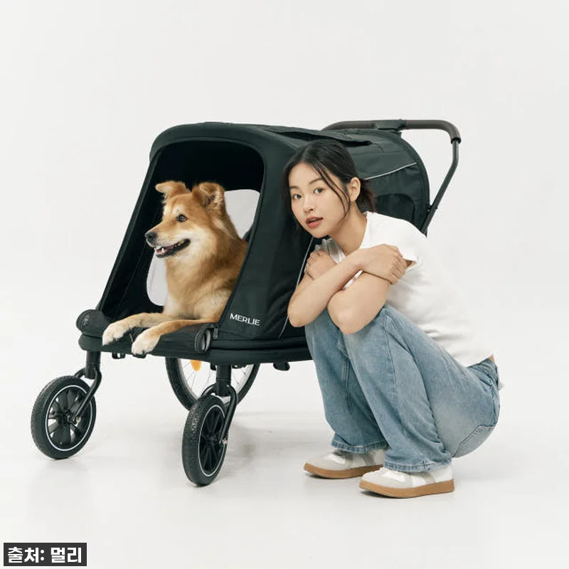 노견 산책 필수템? 멀리 중대형견 개 관련 이미지 6