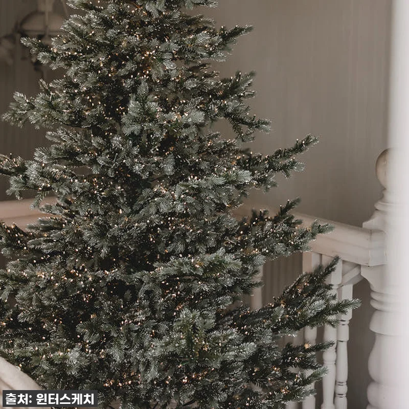 🎄 드디어 찾았다! 윈터스케치 크리스 관련 이미지 7