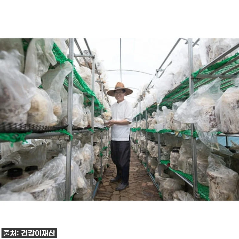 경신바이오 꽃송이현미 발효 효소, 이 관련 이미지 8