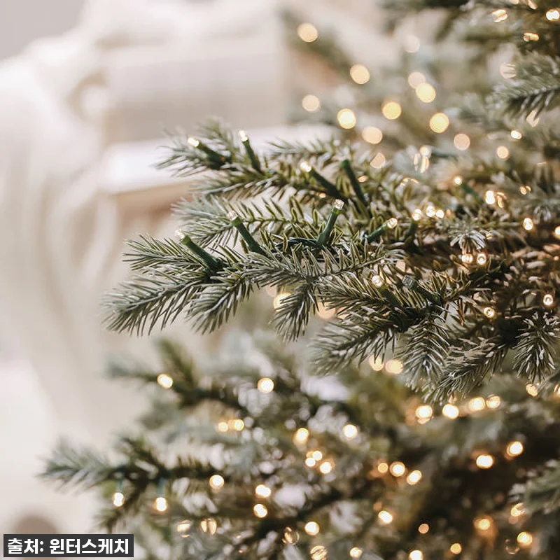 🎄 드디어 찾았다! 윈터스케치 크리스 관련 이미지 8