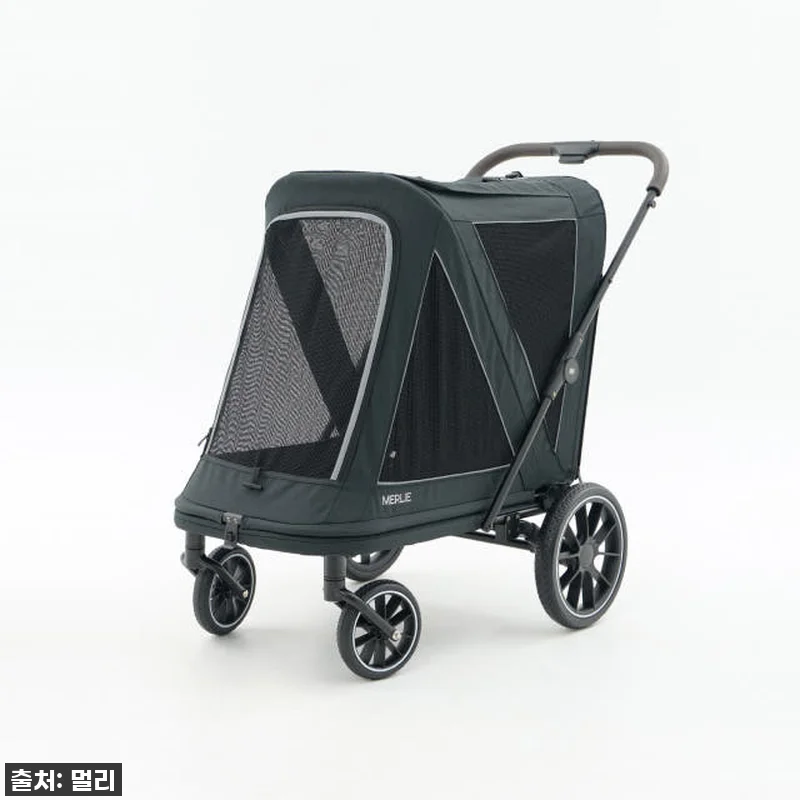 노견 산책 필수템? 멀리 중대형견 개 관련 이미지 8