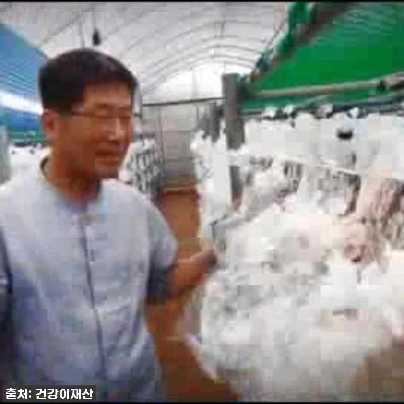 경신바이오 꽃송이현미 발효 효소, 이 관련 이미지 10