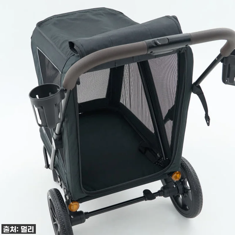 노견 산책 필수템? 멀리 중대형견 개 관련 이미지 9