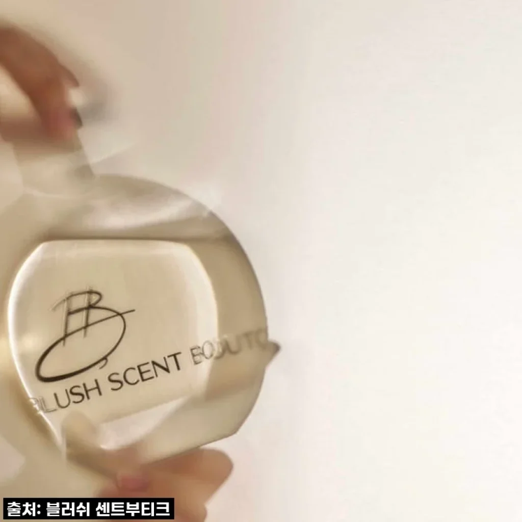 찐내돈내산! 품절임박 '편백 블러쉬 센트부티크 베이비풀문 디퓨저'로 거실 분위기 확 바꿨어요!