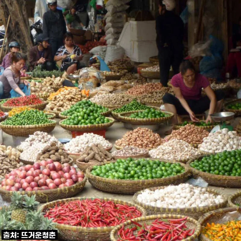 호치민 여행의 꽃! 베트남 요리 쿠킹 클래스, 이거 안 들으면 후회할 걸? 찐후기!