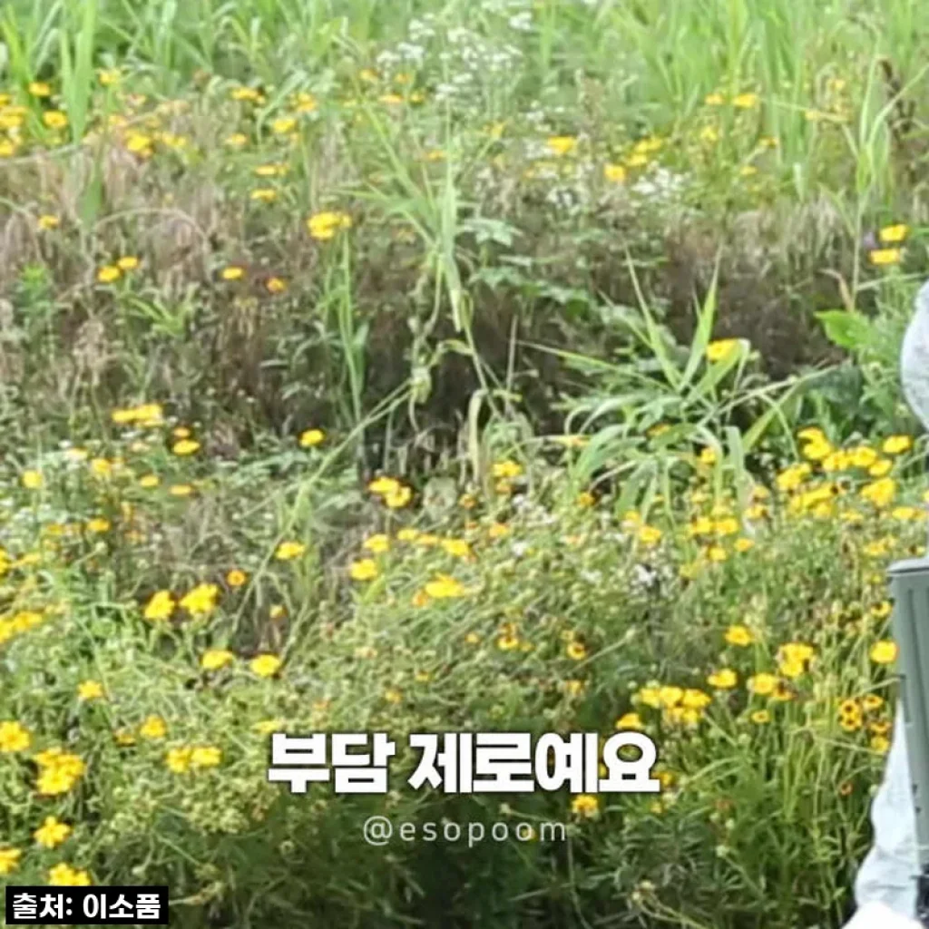 담다 접이식카트 브라운 장바구니캐리어 폴딩카트 4바퀴 시장바구니 쇼핑 마트 캠핑 손수레