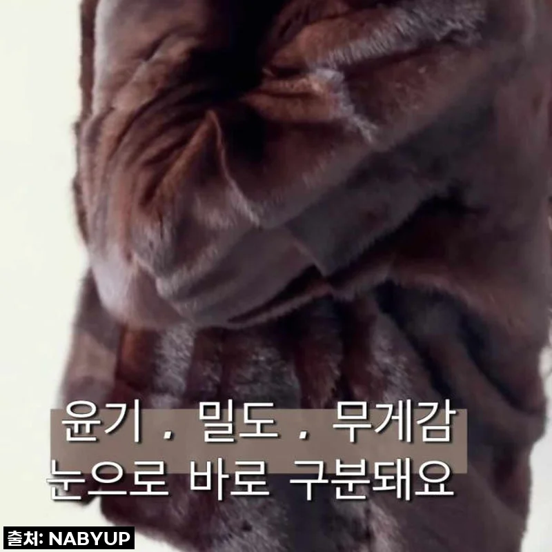 인생템 등극! 올겨울 품절각 '천연 밍크코트', 직접 입어보니 감탄만 나와요!