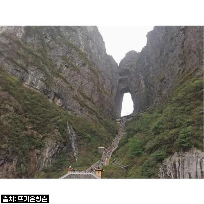 숨 막히는 장가계 천문산, 나만의 방식으로 즐긴 프라이빗 투어 찐후기!