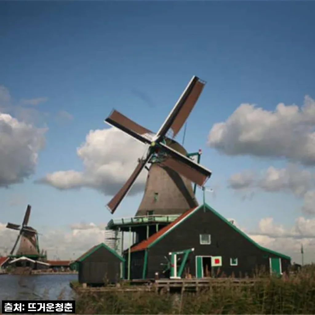 네덜란드 여행, 인생샷 건진 날! 잔세스칸스&볼렌담 프라이빗 투어 찐후기 (한국인 가이드와 함께!)