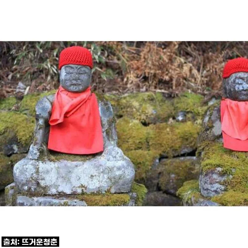 도쿄 근교 여행 끝판왕! 닛코 개인 당일 투어, 이 가격 실화? 놓치면 후회할 걸!