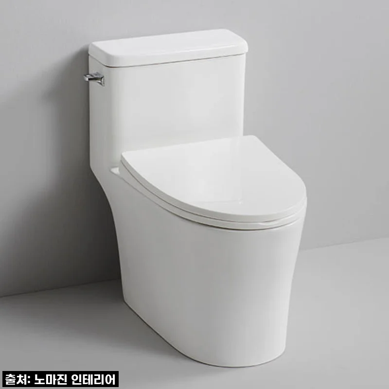 욕실 분위기 대반전! 대림바스 CC283 원피스 치마형 양변기 설치 후기! 이렇게 편할 수가!