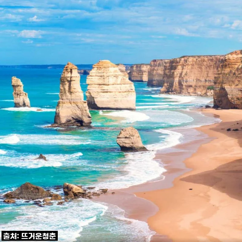 멜버른 여행 필수템? 그레이트 오션 로드 일일 투어, 이 가격에 놓치면 후회할 거예요!