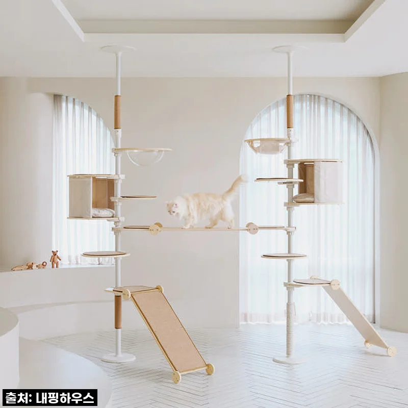 찐후기! 우리 집 냥이들을 위한 내핑하우스 캣폴, 솔직히 이건 '인생템' 등극이에요!