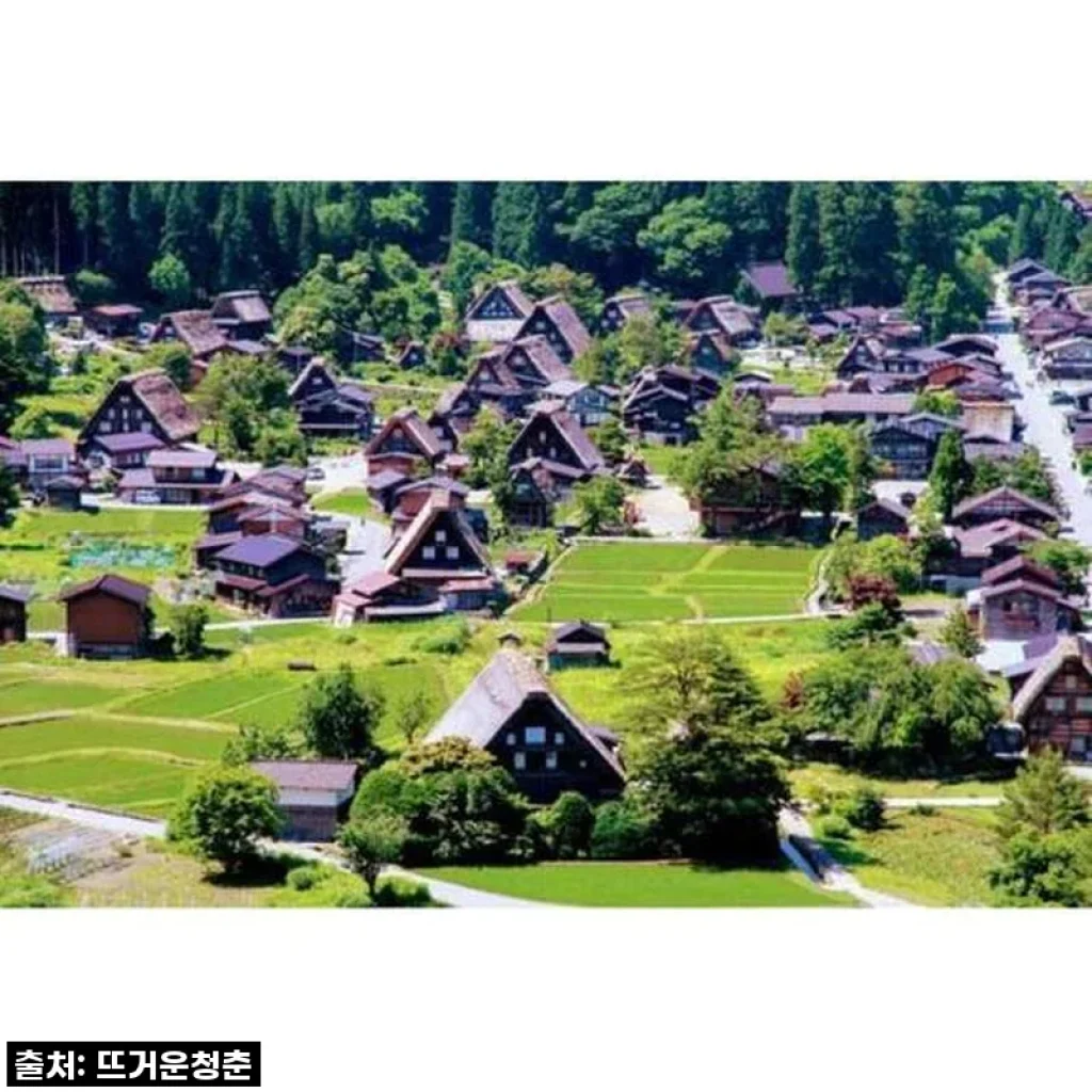 이 가격 실화?! ✨ 일본 가나자와 시라카와고 반나절 투어, 놓치면 후회할 찐 후기!