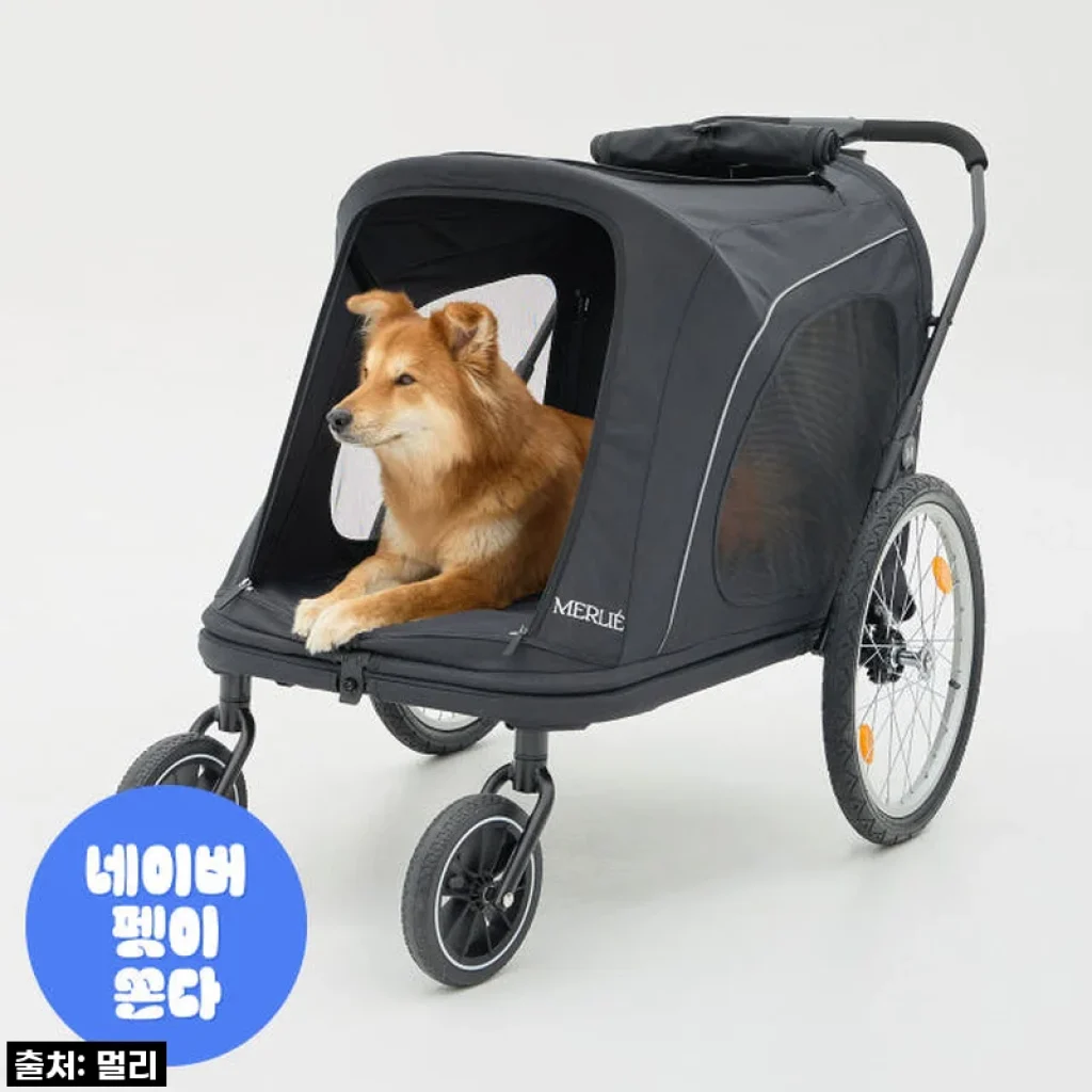 노견 산책 필수템? 멀리 중대형견 개모차 MW8, 내 댕댕이에게 선물한 찐후기!