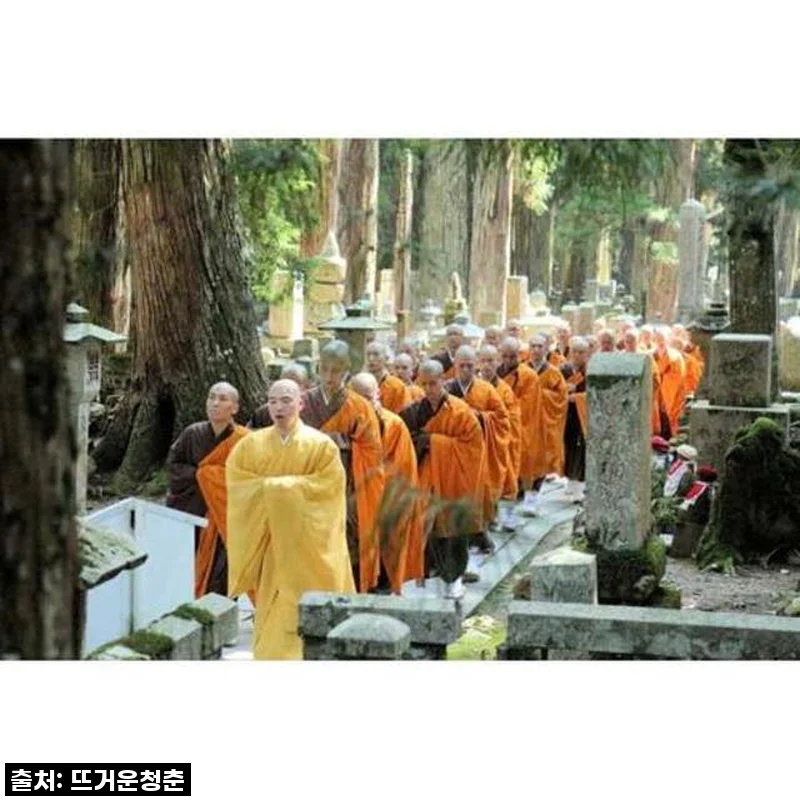 이건 무조건 가야해! 고야산 프라이빗 투어, 숨겨진 보석을 찾은 찐감동 후기!