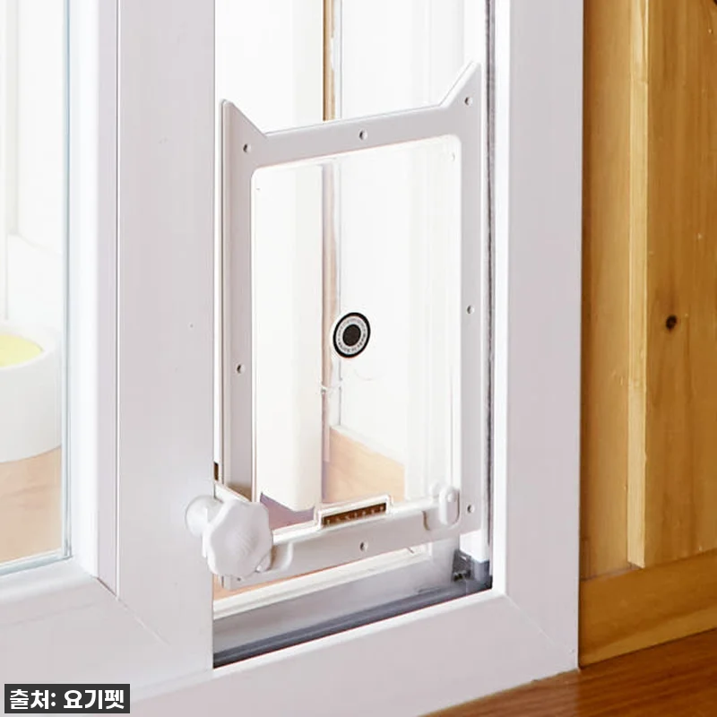 우리집 댕냥이의 베란다 프리패스! 요 관련 이미지 1