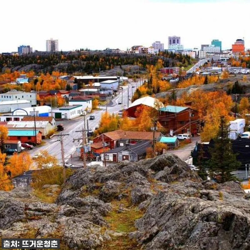 꿈의 오로라를 현실로! 캐나다 옐로나 관련 이미지 1