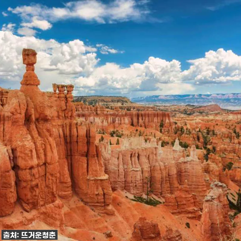 라스베가스 국립공원 4일 투어, 평생 관련 이미지 1